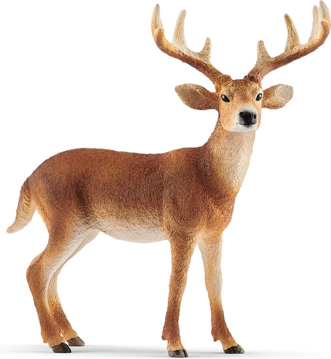 Image du produit Schleich Cerf de Virginie