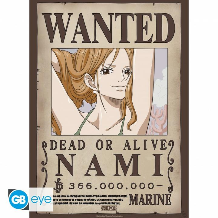 Immagine prodotto GB Eye One Piece - Nami e Robin