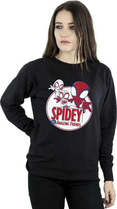 Produktbild Spidey And His Amazing Friends Circle Sweatshirt (L)