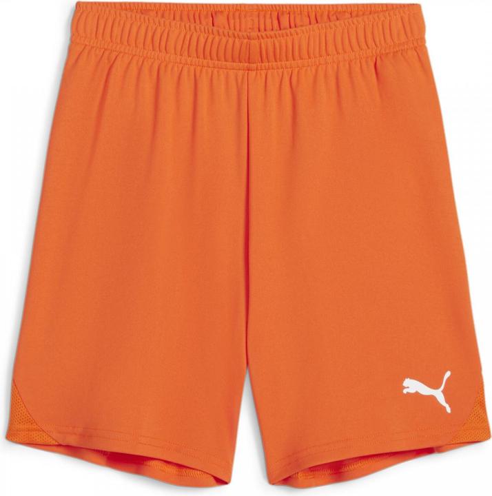 Actual product image Puma teamGOAL Shorts Jr (116)