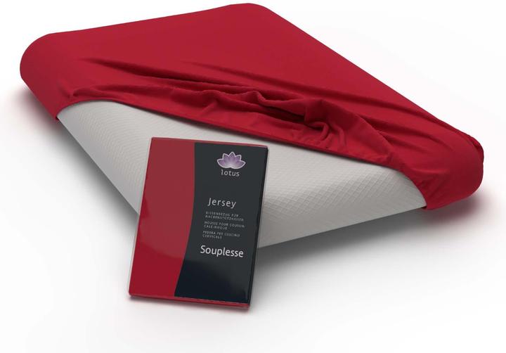 Image du produit Lotus Bettwaren Taie d'oreiller pour oreillers ergonomiques (Taie d'oreiller, 40 x 60 cm)
