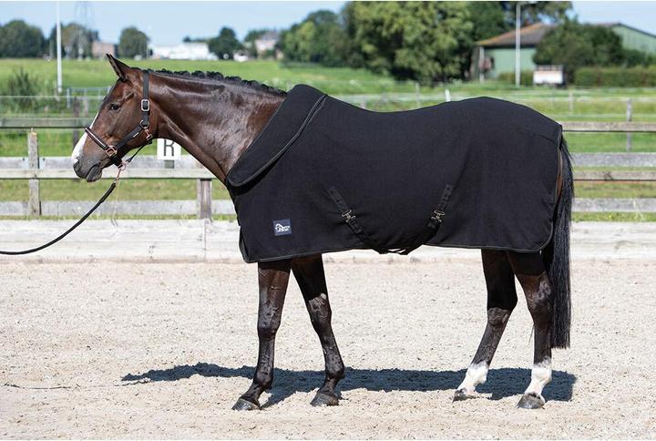Image du produit Harry's Horse Couverture polaire séchante pour cheval col roulable (185 cm)