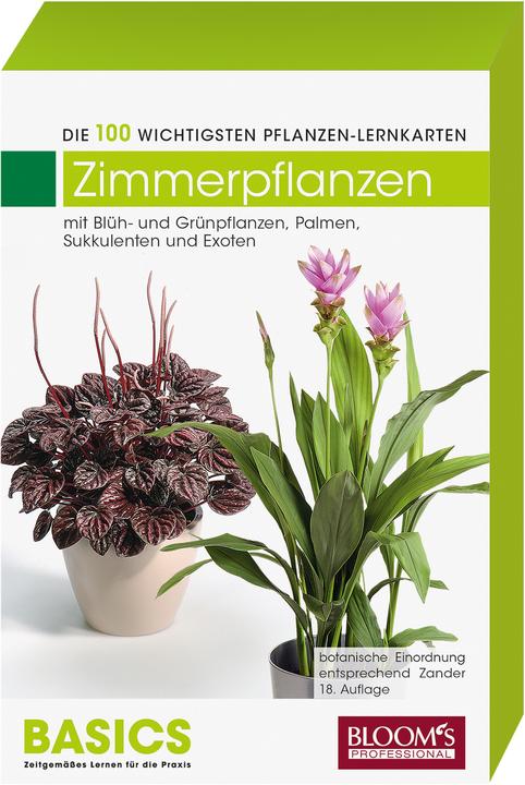 Image du produit Cartes d'apprentissage sur les plantes. Plantes d'intérieur
