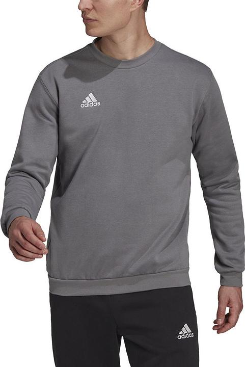 Actual product image adidas Entrada 22 sweatshirt men (XXL)