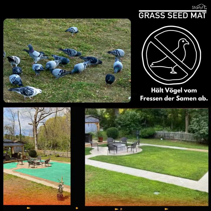 Image du produit Starlyf Grass Seed Mat (Graines de plantes)