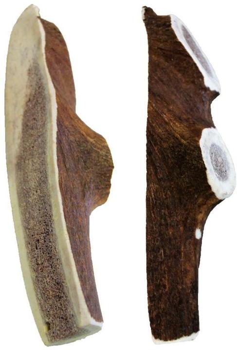 Image du produit Kyli Bois de cerf Cerf (Adulte, 1 pcs, 250 g)