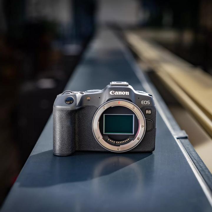 Actual product image Canon EOS R8 (24.20 Mpx, Full frame)
