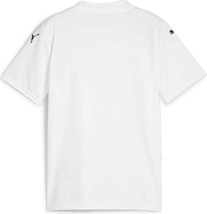 Image du produit Puma teamGLORY Jersey Jr (116)