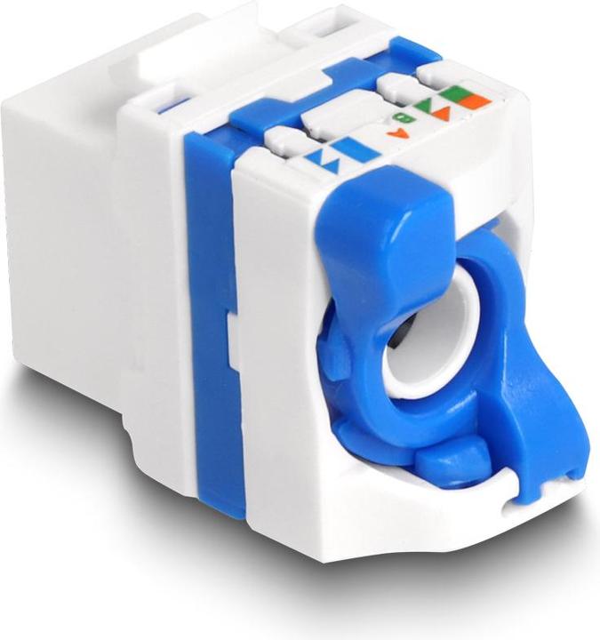 Image du produit Delock Module Keystone RJ45 femelle vers LSA Cat.6A sans outils (Module Keystone)
