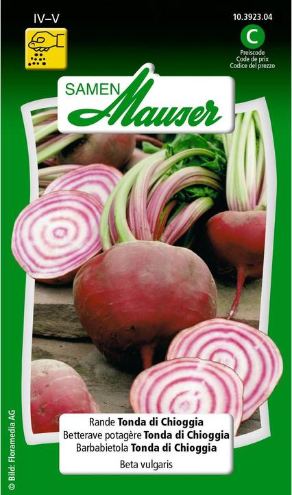 Samen Mauser Rande Tonda di Chioggia (Semi di verdura)