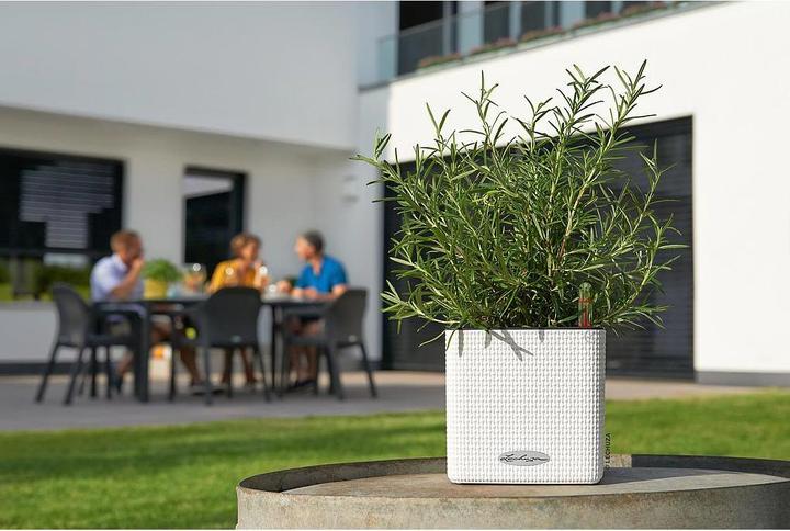 Actual product image Lechuza cube (14 cm)
