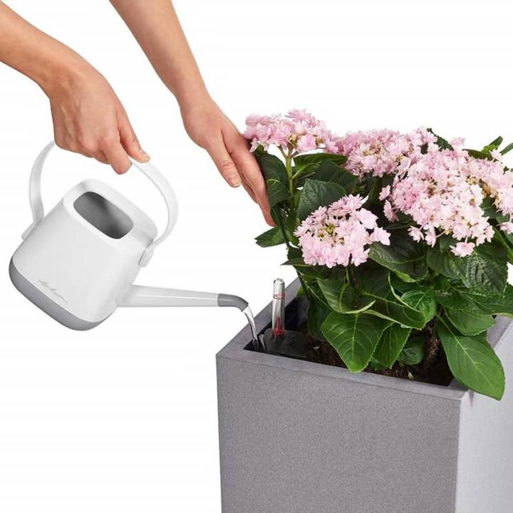 Produktbild Lechuza Canto (30 cm)