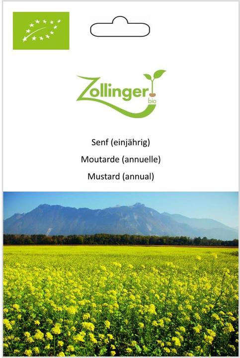 Immagine prodotto Zollinger Bio Senape (annuale) (Germogli)