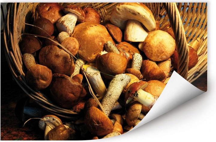Produktbild Trenddeko Pilzkorb (120 x 80 cm)