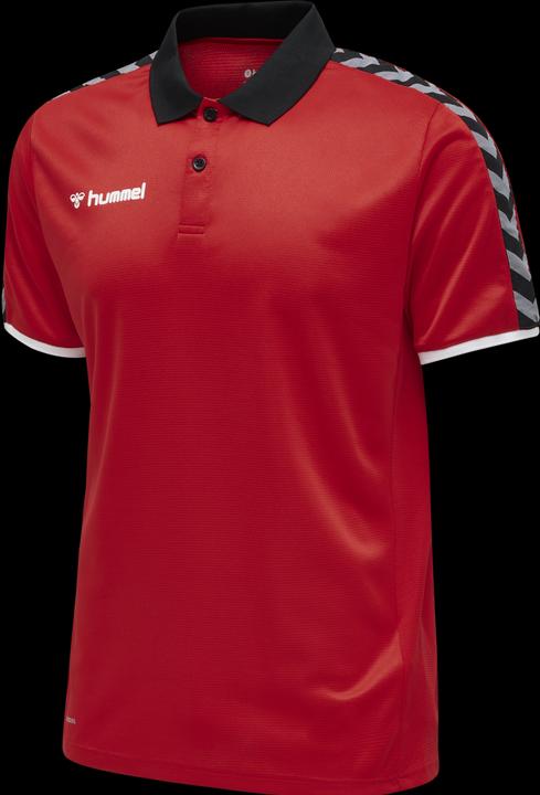 Image du produit hummel Authentic Functional Polo (S)