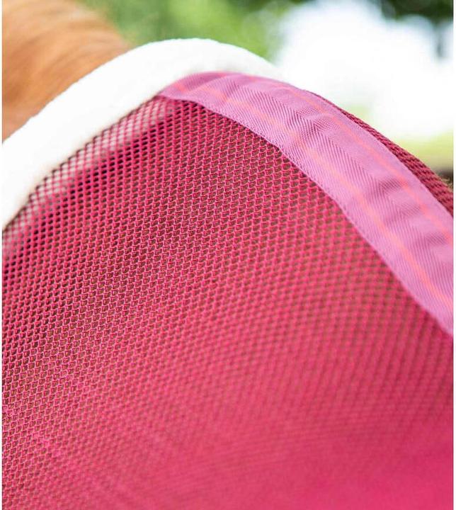 Actual product image Premier Equine Arisca Scrim (168 cm)