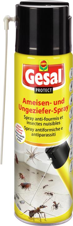 Gesal PROTECT Ameisen- und Ungeziefer-Spray (500 ml)