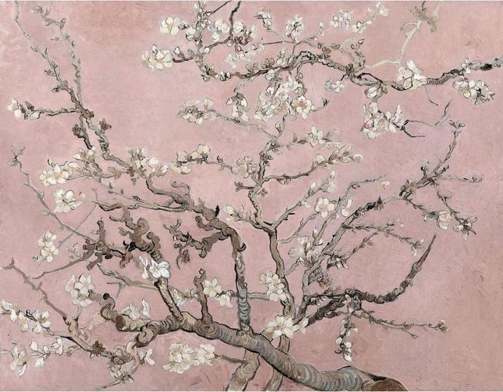 Image du produit Trenddeko van Gogh - Rosé à la fleur d'amandier (336 x 260 cm)