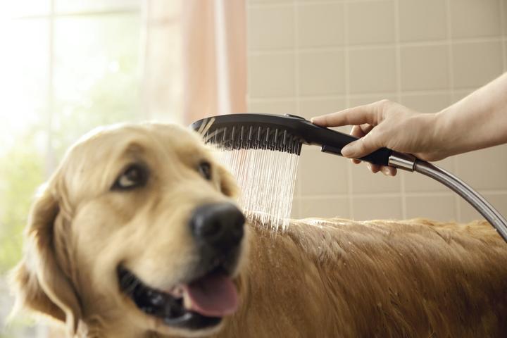 Productafbeelding hansgrohe DogShower hondendouche 150 (3 straalsoorten) (3 Typen balken, 7.60 l/min)
