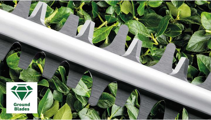 Actual product image Bosch Home & Garden AdvancedHedgeCut 65 (Electric hedge trimmer)