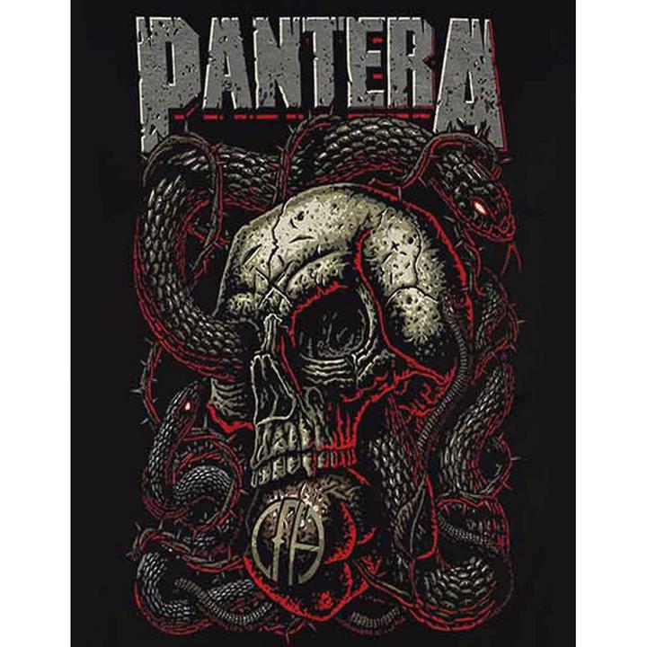 Actual product image Pantera TShirt (XL)