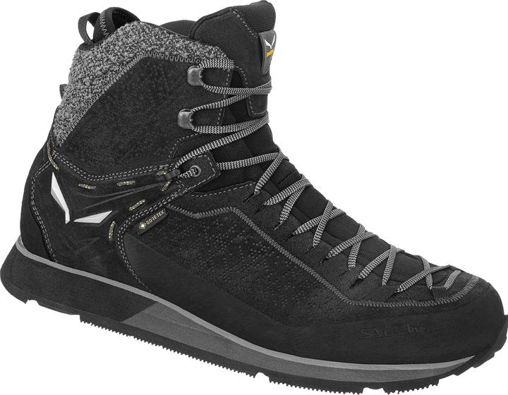 Image du produit Salewa Mtn Trainer 2 hiver GORE-TEX (45)