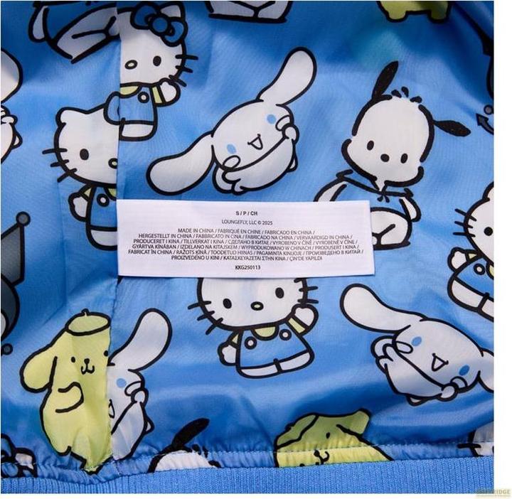 Produktbild Loungefly Sanrio by Kapuzenpullover Unisex Friends Grösse XXL (XXL)