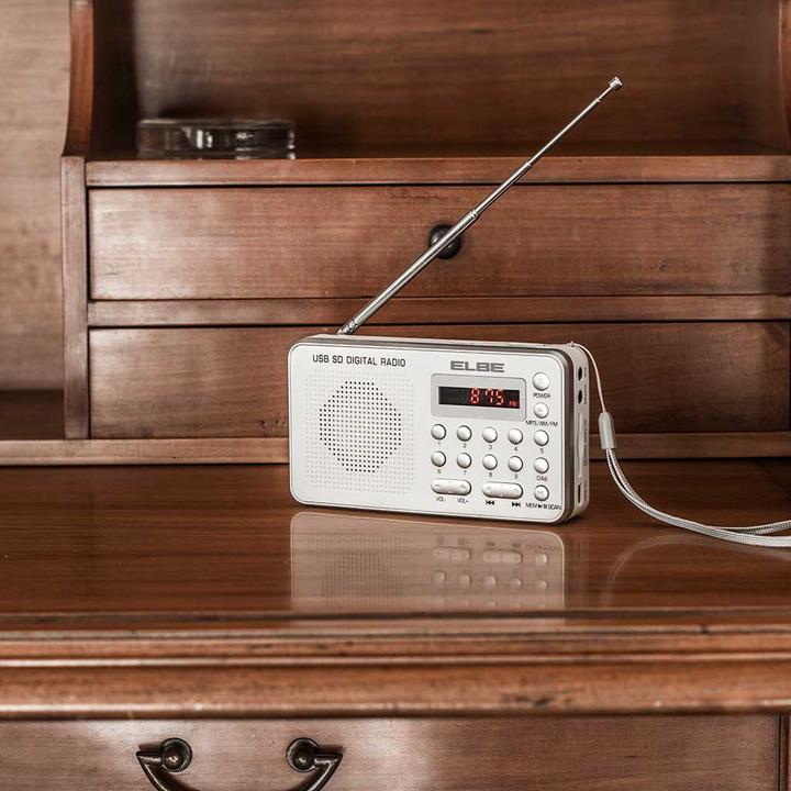 Actual product image Elbe RF-49-USB (AM, FM)