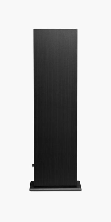 Actual product image Triangle BOREA BR08 Black Ash (1 pair, 150 W)