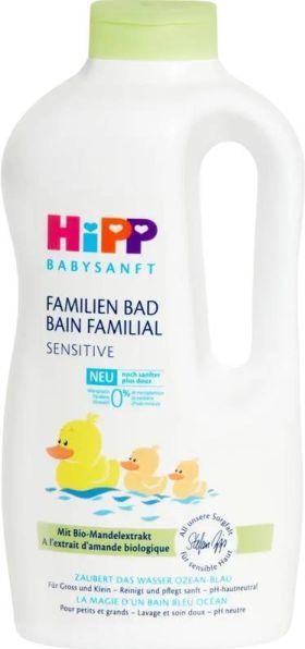 Actual product image Hipp Family pool