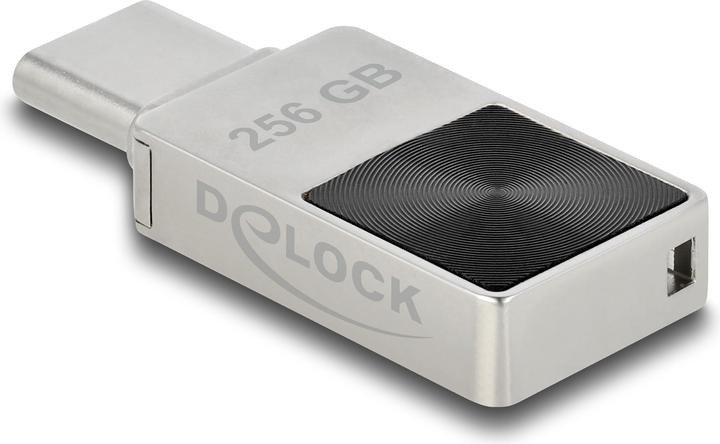 Produktbild Delock Mini (256 GB, USB-C)
