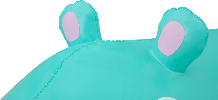 Actual product image Bestway Hippo