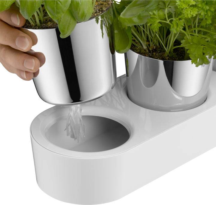 Immagine prodotto WMF Giardinetto di erbe aromatiche (14 cm)
