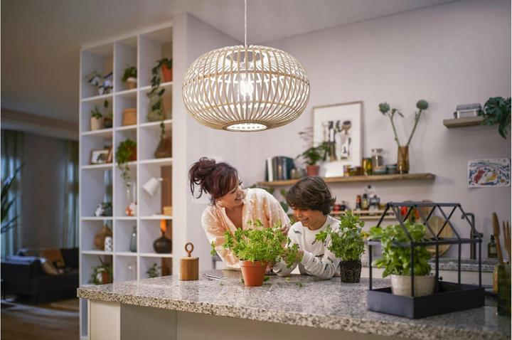 Actual product image Philips LED Classic (E14, 2.30 W, 485 lm, 1 x, A)