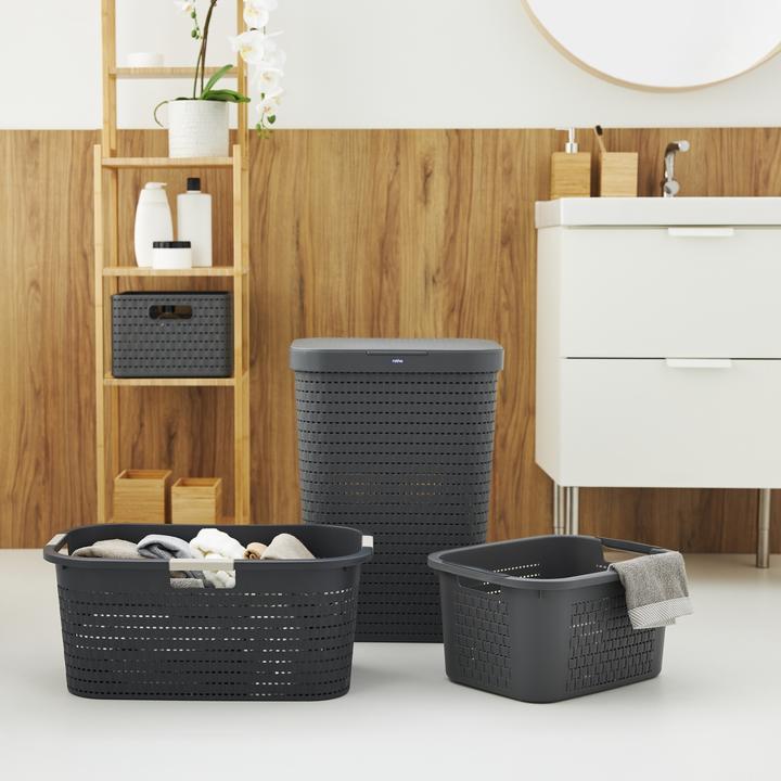 Image du produit Rotho Pays (55 l)