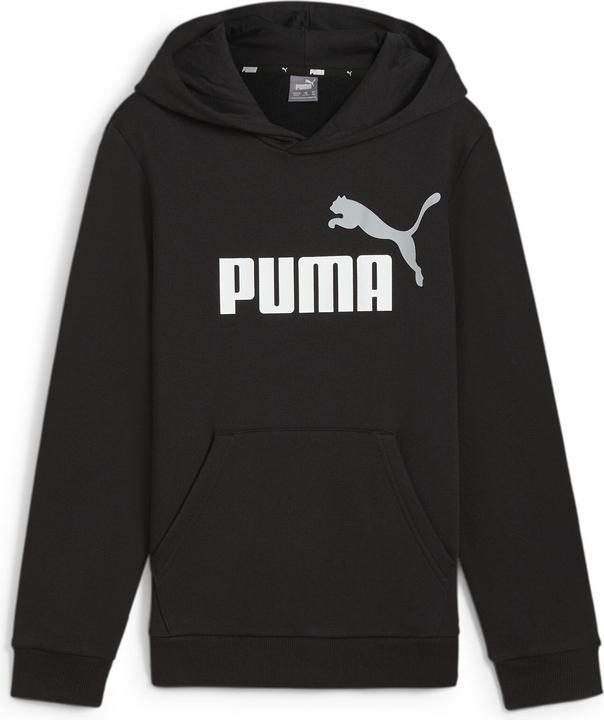 Actual product image Puma ESS+ 2 Col Big Logo Hoodie FL B (128)