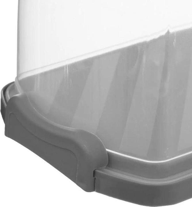 Actual product image 5Five Container for cakes and pastries - 36 x 16 x 13 cm