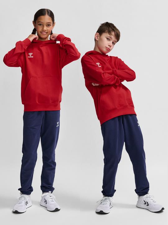 Actual product image hummel HMLGO 2.0 HOODIE KIDS (140)