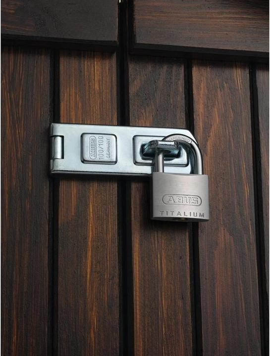 Actual product image Abus Padlock 64TI/25