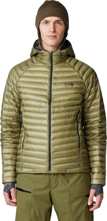 Verde mantide 361