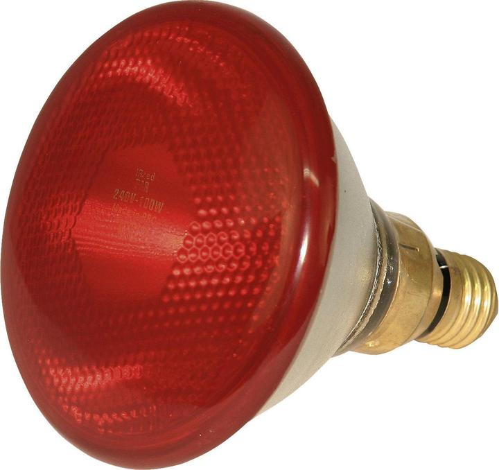 Immagine prodotto Kerbl Lampada economica a infrarossi PAR 38, 100 Watt, rossa (100 W)
