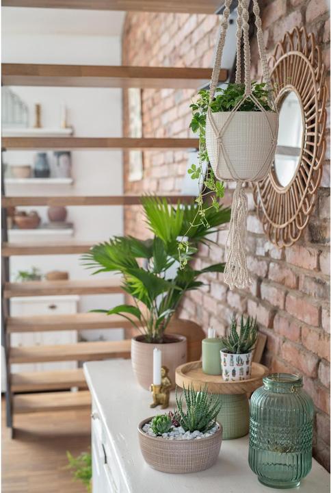 Actual product image Scheurich Flowerpot 866 (18.80 cm)