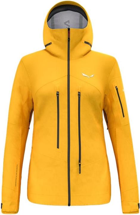 Image du produit Salewa Veste Ortles Gtx Pro W (40)