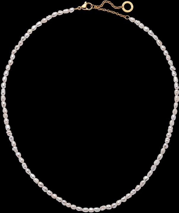 Immagine prodotto Paul Hewitt PH-JE-0447 (Acciaio inossidabile, Riciclato, 42 - 47 cm)