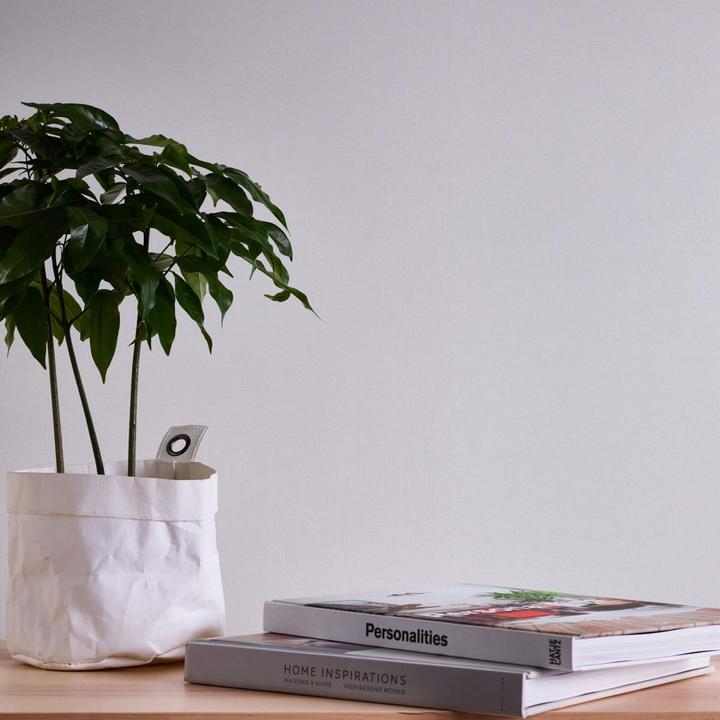 Actual product image A.S. Création Meistervlies Pro Protect 2 White, paintable 49 (53 x 1005 cm)