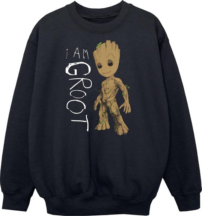 Guardians Of The Galaxy I Am Groot Scribbles Sweatshirt Jungen