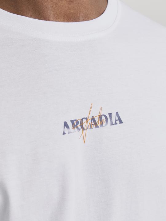 Actual product image Jack & Jones Jjecharge Graphic Tee O-N Styd Aw24 Ln (L)