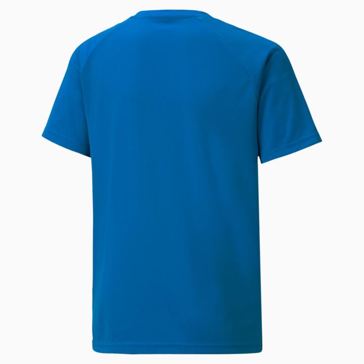 Actual product image Puma teamLIGA Striped Jersey Jr-704927 (152)