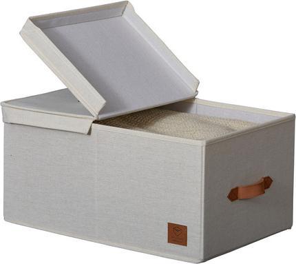 Image du produit Store it Boîte de rangement PREMIUM avec couvercle à charnière (47 x 30 x 22 cm, 31 l)