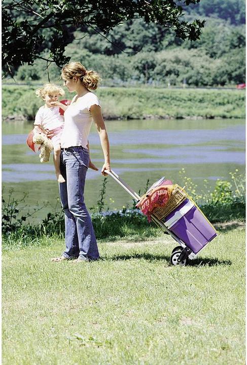 Image du produit wolfcraft Système de transport TS 600 (70 kg)